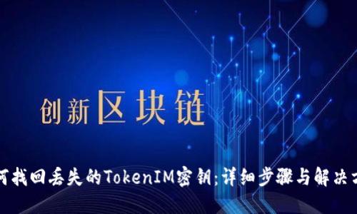 如何找回丢失的TokenIM密钥：详细步骤与解决方案