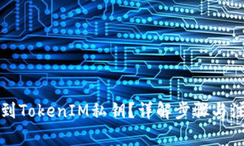 如何找到TokenIM私钥？详解步骤与注意事项