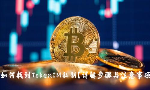 如何找到TokenIM私钥？详解步骤与注意事项