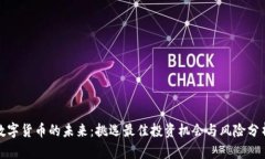 数字货币的未来：挑选最
