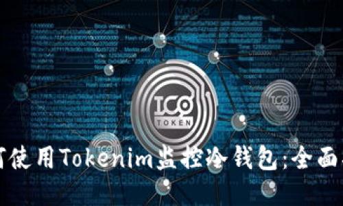 如何使用Tokenim监控冷钱包：全面指南