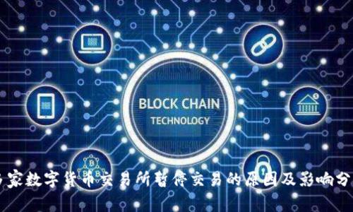 多家数字货币交易所暂停交易的原因及影响分析