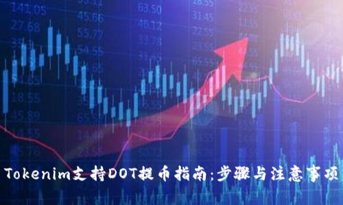 Tokenim支持DOT提币指南：步骤与注意事项