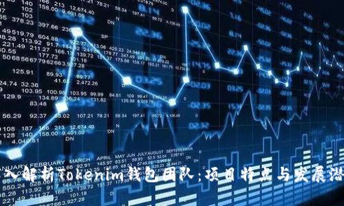 深入解析Tokenim钱包团队：项目特点与发展潜力
