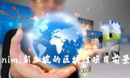 Tokenim：新加坡的区块链项目前景分析