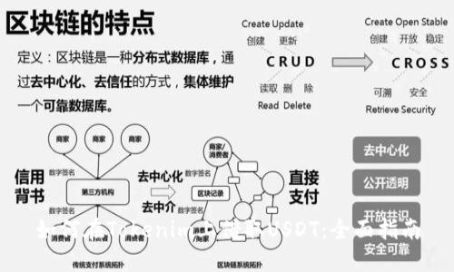 如何在Tokenim上借取USDT：全面指南