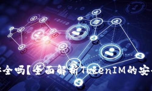 TokenIM到底安全吗？全面解析TokenIM的安全性与用户权益
