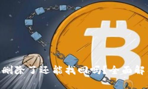 Tokenim钱包删除了还能找回吗？全面解析与解决方案