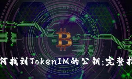 如何找到TokenIM的公钥：完整指南
