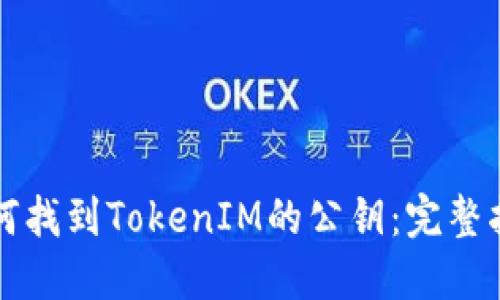如何找到TokenIM的公钥：完整指南