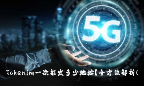Tokenim一次能发多少地址？全方位解析！