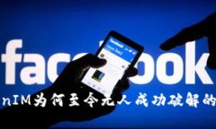 TokenIM为何至今无人成功破