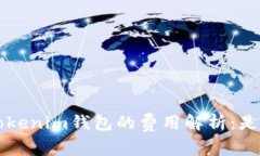 使用TokenTokenim钱包的费用