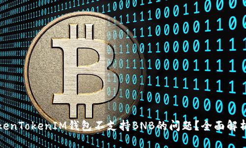 如何解决TokenTokenIM钱包不支持BNB的问题？全面解析及解决方案