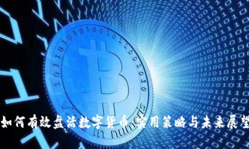 如何有效盘活数字货币：实用策略与未来展望