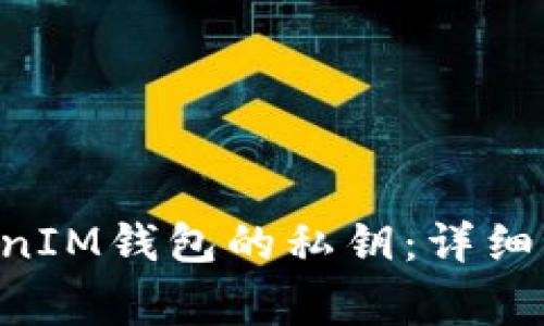 如何查看TokenTokenIM钱包的私钥：详细指南与安全注意事项