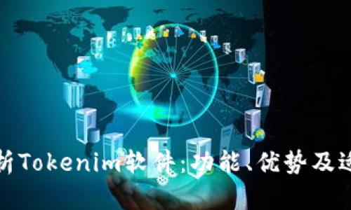全面解析Tokenim软件：功能、优势及适用场景