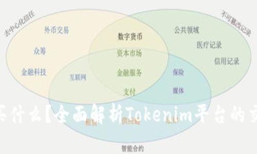Tokenim官网买什么？全面解析Tokenim平台的交易与投资选择