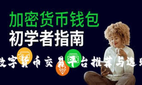 香港数字货币交易平台推荐与选购指南
