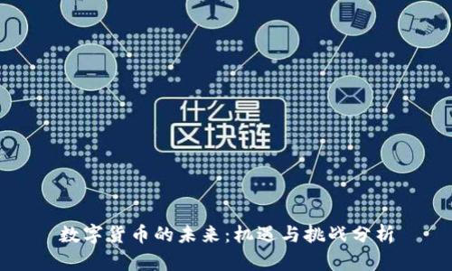 数字货币的未来：机遇与挑战分析