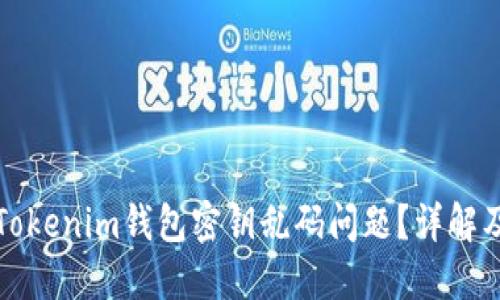 如何解决Tokenim钱包密钥乱码问题？详解及解决方案