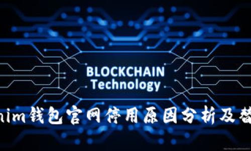 Tokentokenim钱包官网停用原因分析及替代方案推荐