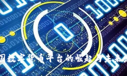 中国数字货币平台的崛起与未来发展