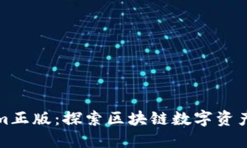 Tokenim正版：探索区块链数字资产的未来