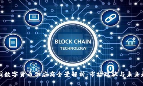 中国数字货币供应商全景解析：市场现状与未来趋势