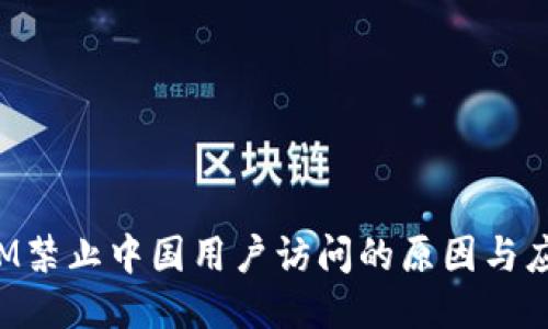 TokenIM禁止中国用户访问的原因与应对策略