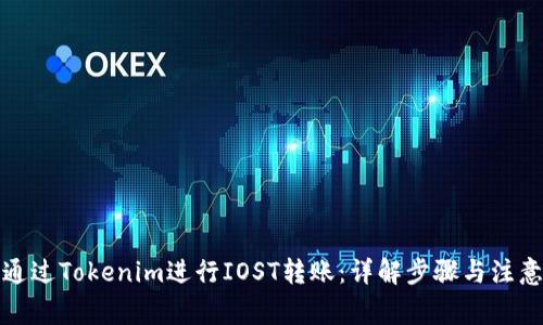 如何通过Tokenim进行IOST转账：详解步骤与注意事项