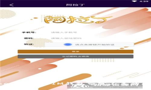 如何解决TokenToken IM钱包带宽不足的问题：全面指南