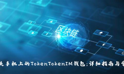 如何找回丢失手机上的TokenTokenIM钱包：详细指南与常见问题解答