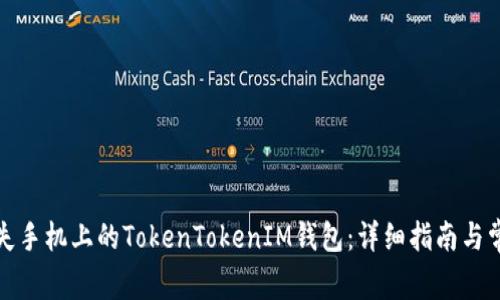 如何找回丢失手机上的TokenTokenIM钱包：详细指南与常见问题解答