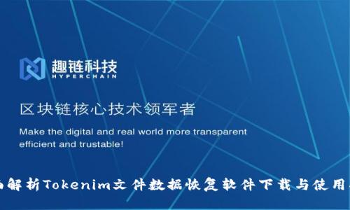 全面解析Tokenim文件数据恢复软件下载与使用指南
