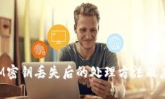 TokenIM密钥丢失后的处理方