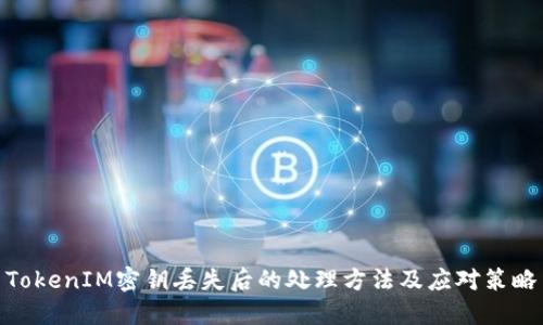 TokenIM密钥丢失后的处理方法及应对策略