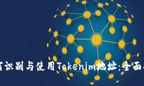 如何识别与使用Tokenim地址：全面指南