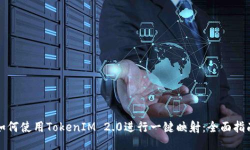 如何使用TokenIM 2.0进行一键映射：全面指南