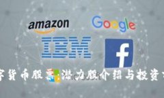 珠海数字货币股票：潜力