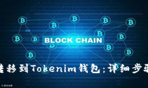 如何将Bitz转移到Tokenim钱包：详细步骤与注意事项