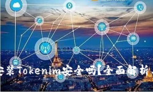 : 安卓上安装Tokenim安全吗？全面解析与用户指南