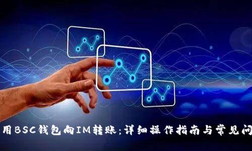 如何使用BSC钱包向IM转账：详细操作指南与常见问题解答