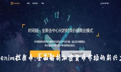 Tokenim拦截币：全面解析加密货币市场的新兴力量