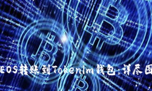 如何将EOS转账到Tokenim钱包：详尽图文指南
