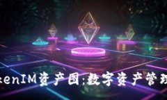 : 全面解析TokenIM资产图：