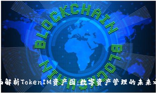 : 
全面解析TokenIM资产图：数字资产管理的未来之路