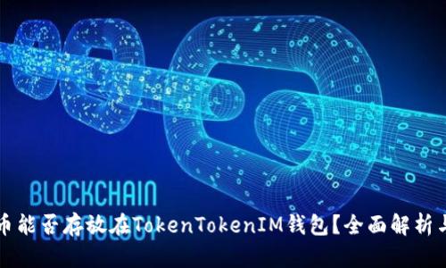 狗狗币能否存放在TokenTokenIM钱包？全面解析与指南