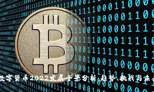 中国数字货币2022发展全景分析：趋势、挑战与未来展望