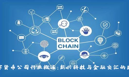 数字货币公司行业概述：新兴科技与金融交汇的先锋